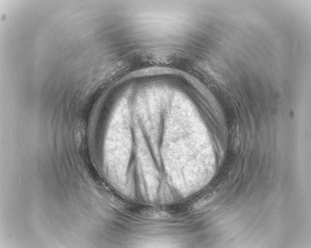 X0000088650747200706221610