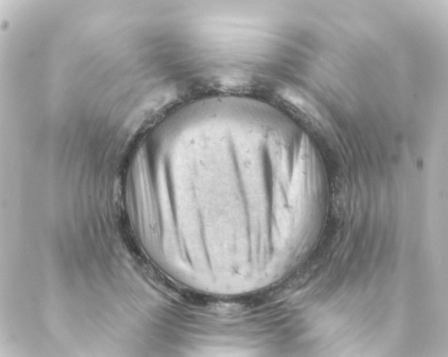 X0000088650748200706221610