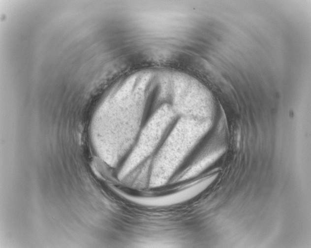 X0000088650750200706221610