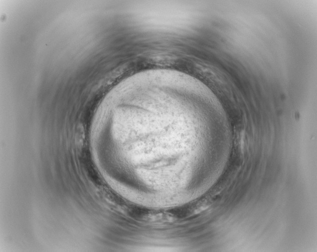 X0000088650752200706221610