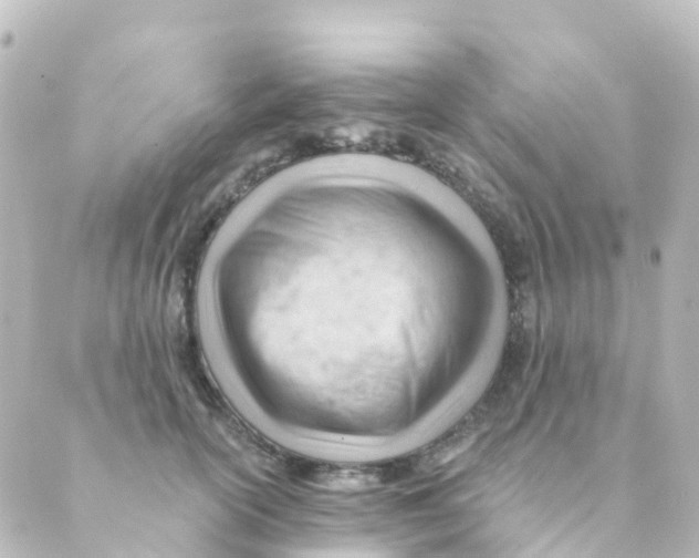 X0000088650754200706221610