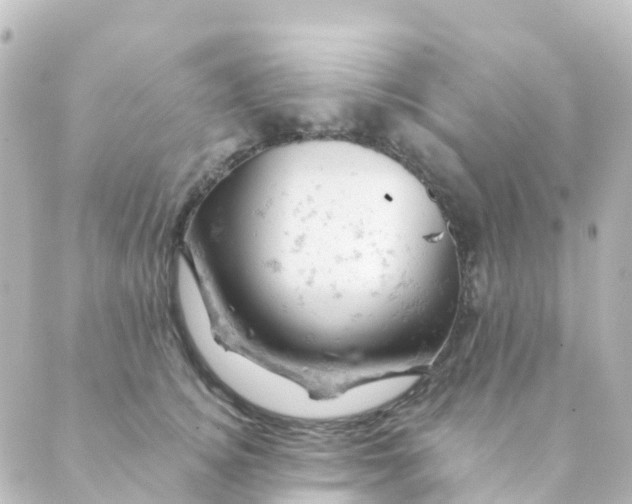 X0000088650756200706221610