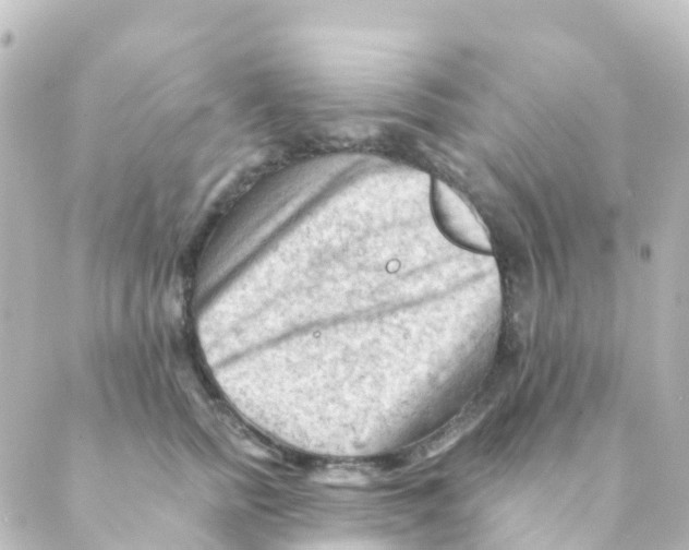 X0000088650758200706221610