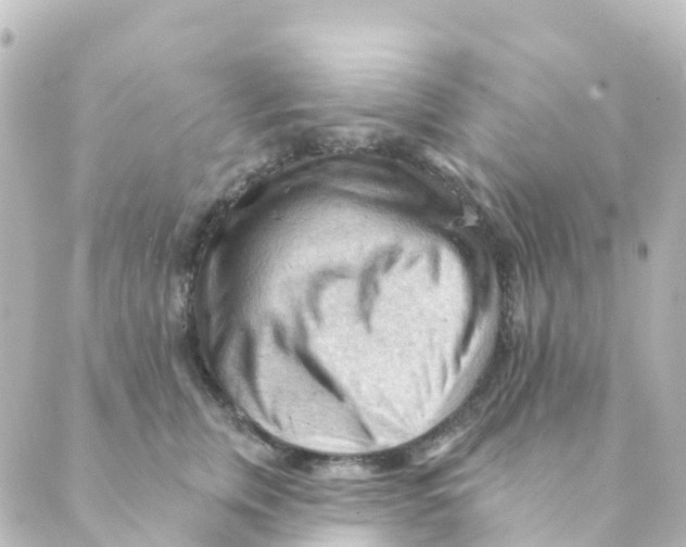 X0000088650759200706221610