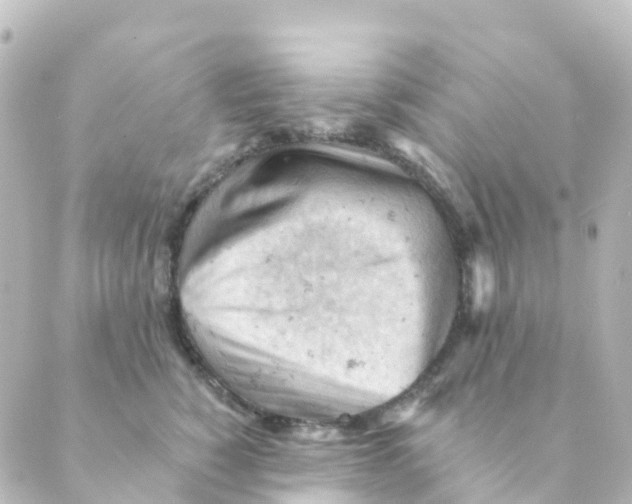 X0000088650760200706221610