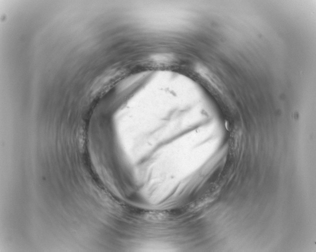 X0000088650762200706221610