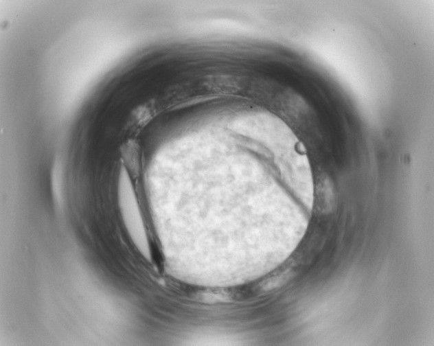 X0000088650765200706221610