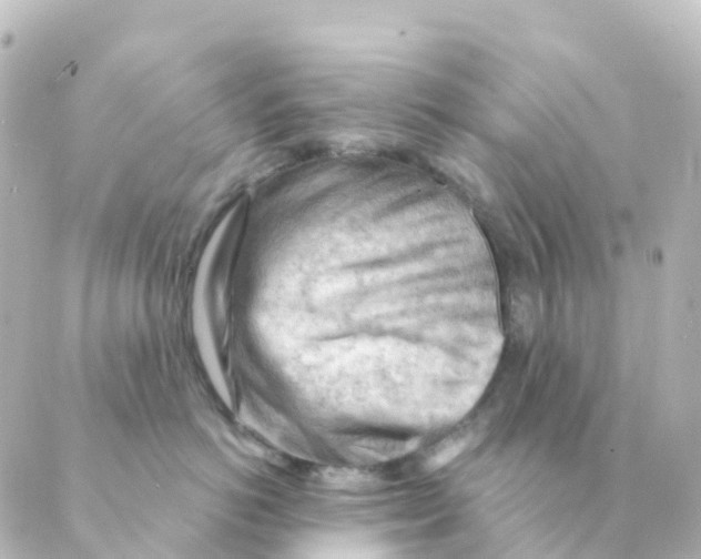 X0000088650766200706221610