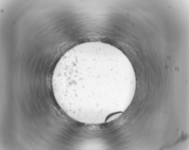 X0000088650768200706221610