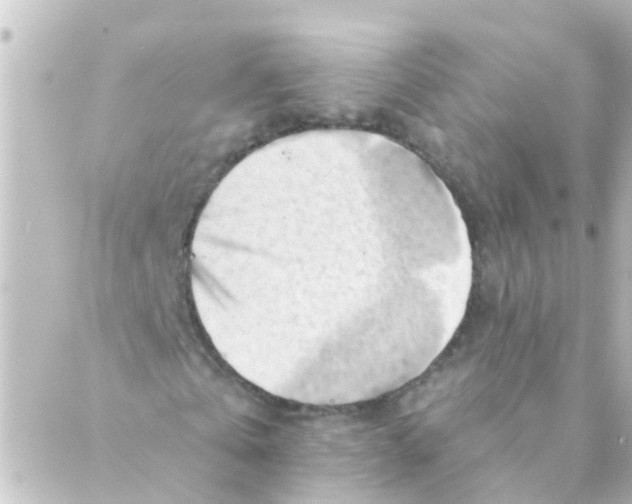 X0000088650769200706221609