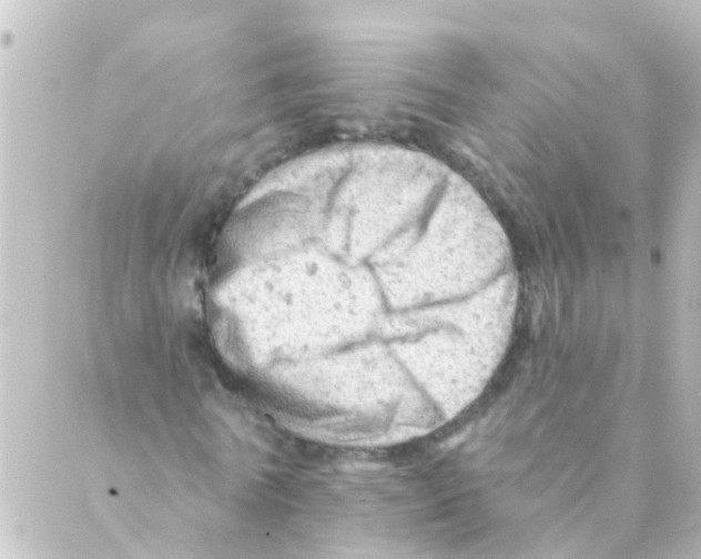 X0000088650770200706221609