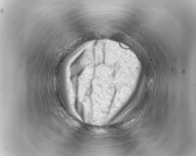 X0000088650772200706221609