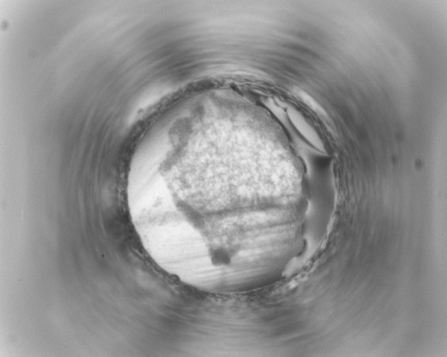 X0000088650775200706221609