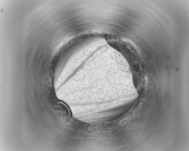 X0000088650776200706221609