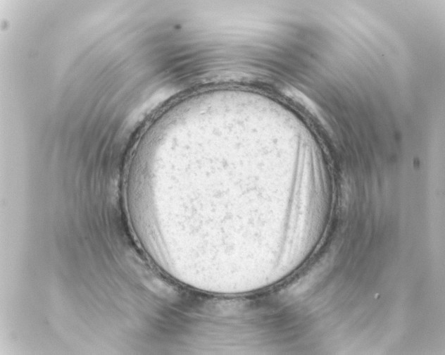 X0000088650778200706221609