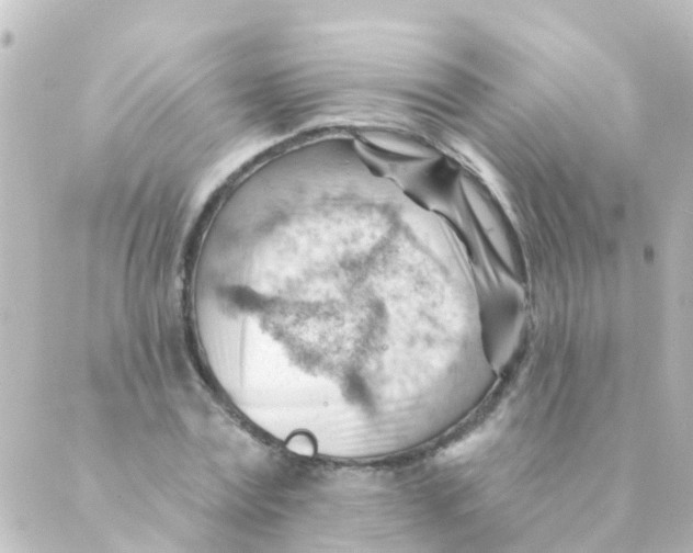 X0000088650779200706221609