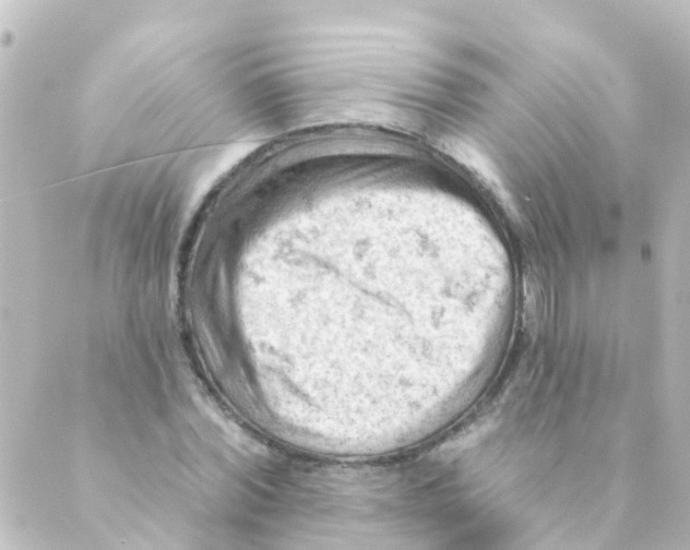 X0000088650780200706221609