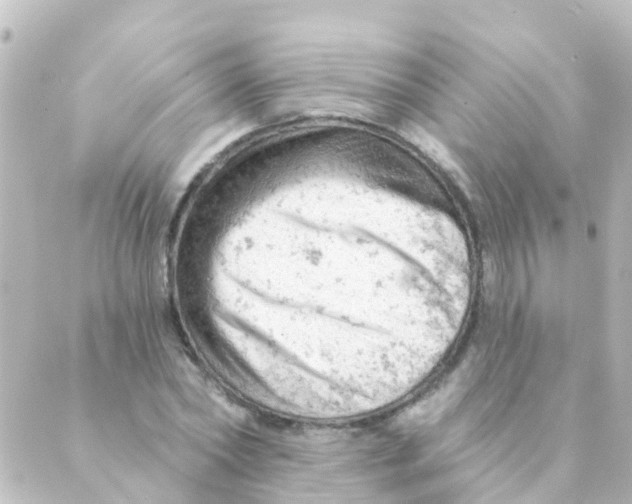 X0000088650782200706221609