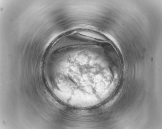 X0000088650783200706221609