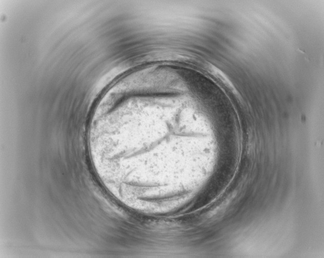 X0000088650786200706221609