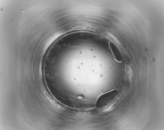 X0000088650788200706221609