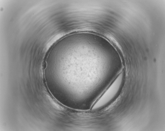 X0000088650789200706221609