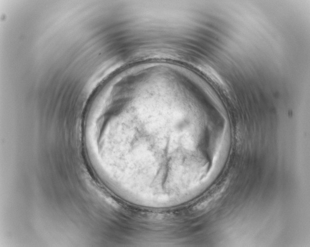 X0000088650790200706221609