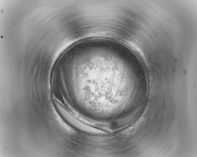 X0000088650792200706221609