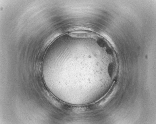 X0000088650793200706221609