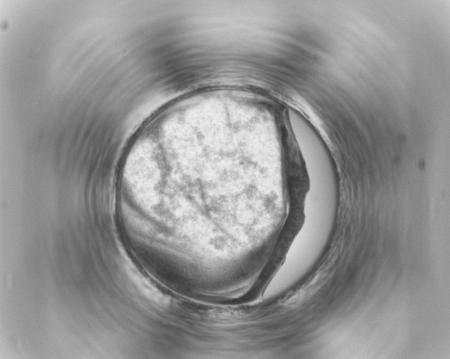 X0000088650795200706221609