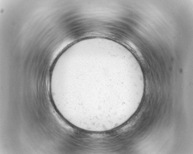 X0000088650796200706221609