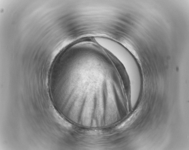 X0000088650797200706221609