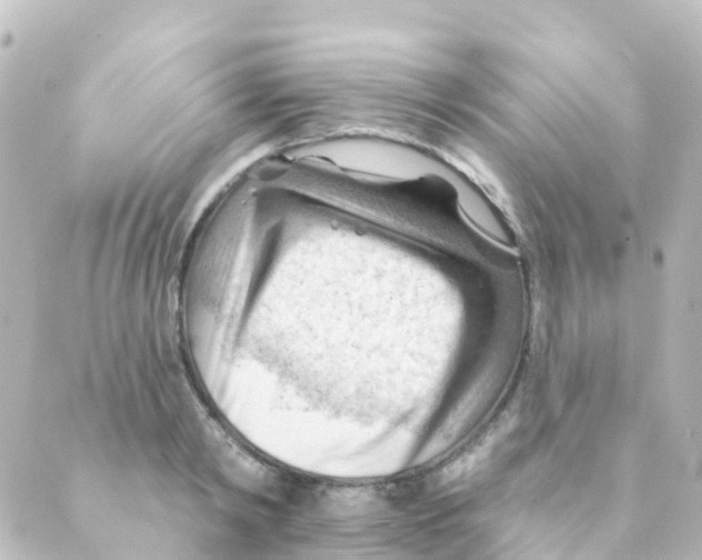 X0000088650798200706221609