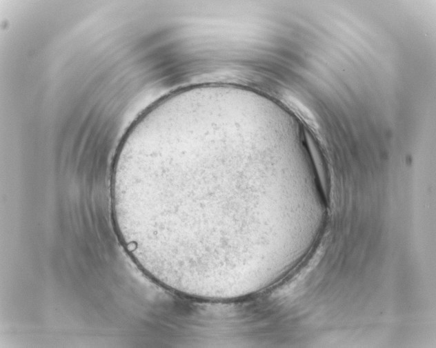 X0000088650800200706221609