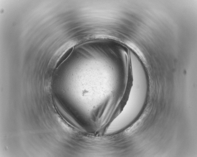 X0000088650801200706221609