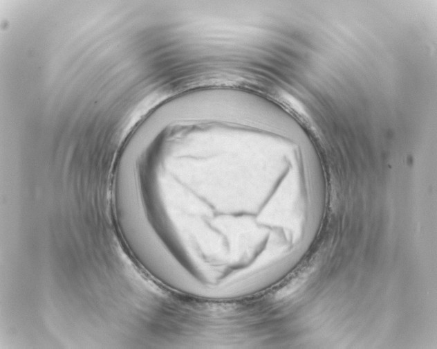 X0000088650802200706221609