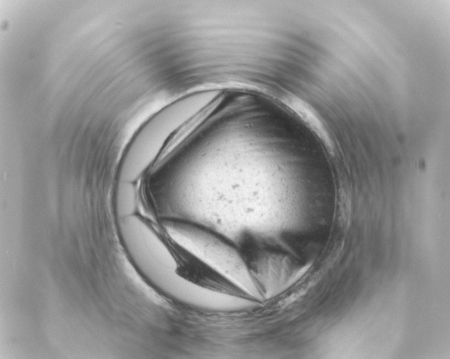 X0000088650805200706221609