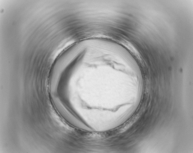 X0000088650806200706221609