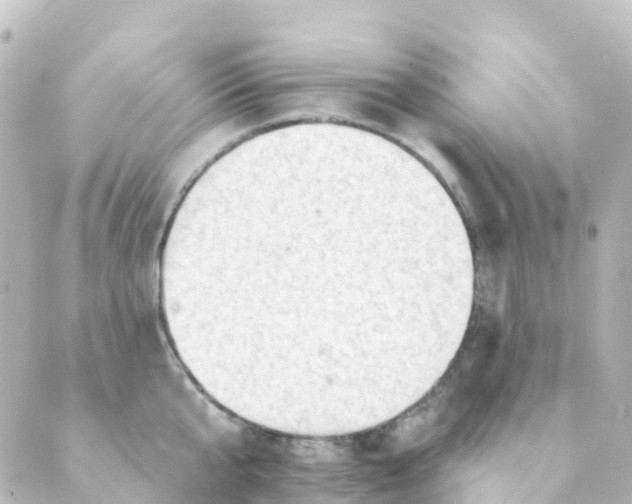 X0000088650807200706221609