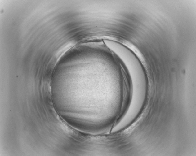 X0000088650809200706221609