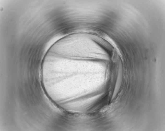 X0000088650811200706221609