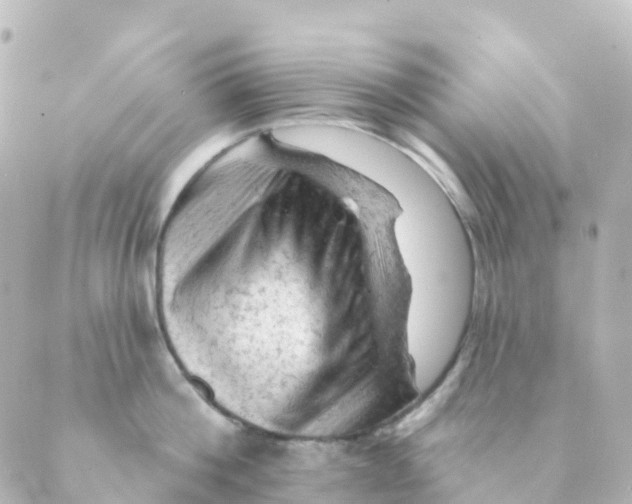 X0000088650812200706221609