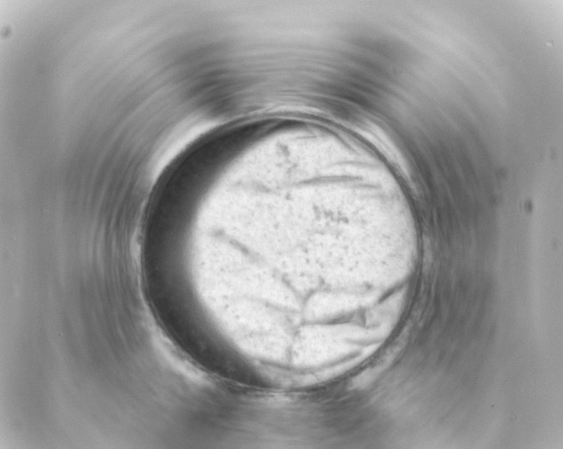 X0000088650814200706221609