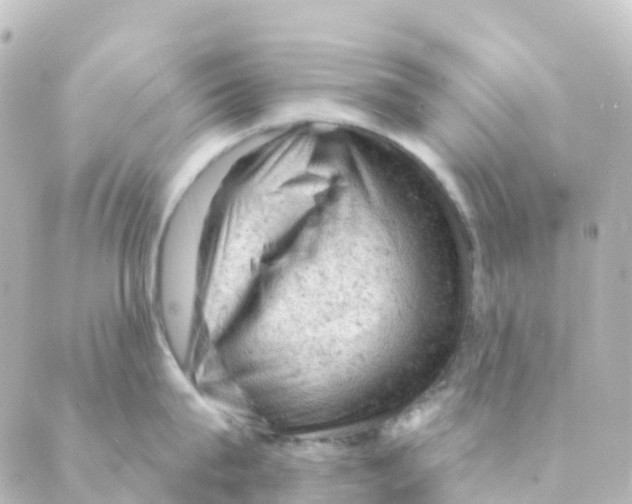 X0000088650815200706221609