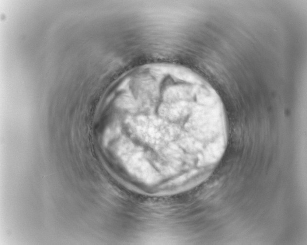 X0000088650817200706221608