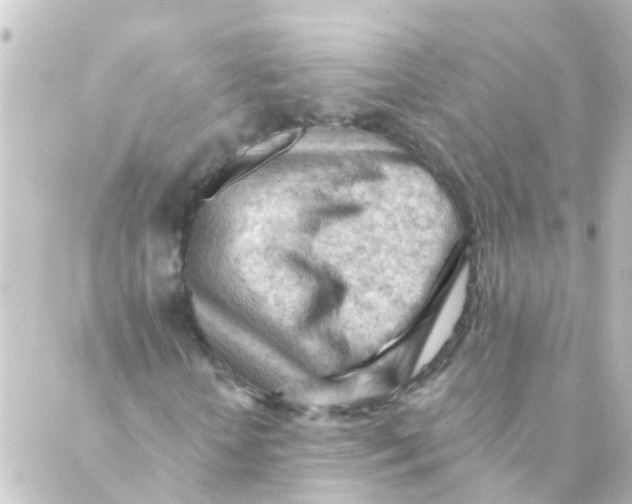 X0000088650818200706221608