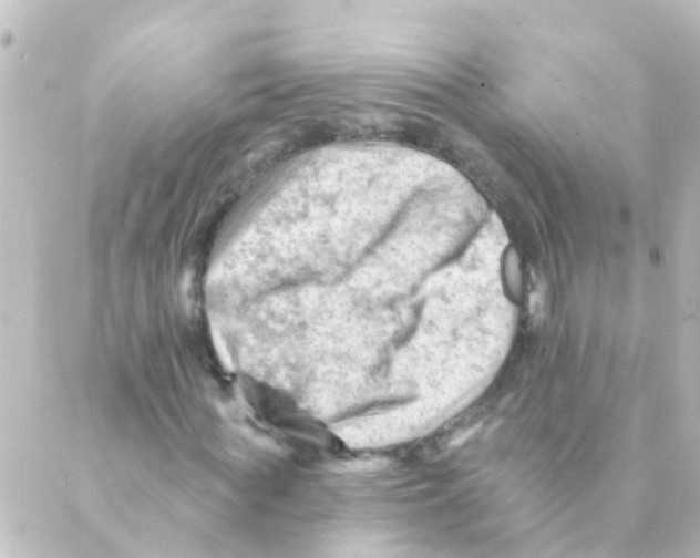 X0000088650819200706221608