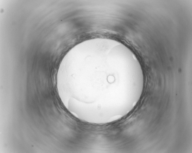 X0000088650820200706221608