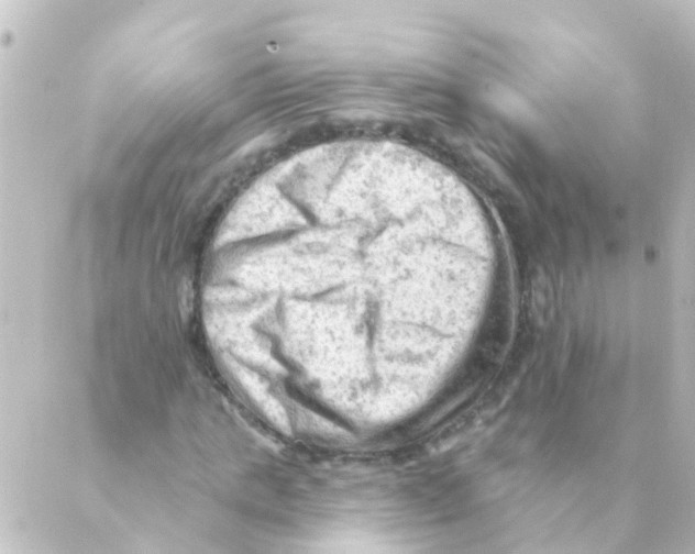 X0000088650821200706221608