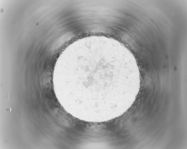 X0000088650824200706221608